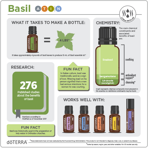 Basilikum ist ein Küchenkraut, dass auf der ganzen Welt verwendet wird. dōTERRA Basil ätherisches Öl hat ein frisches, scharfes und krautiges Aroma